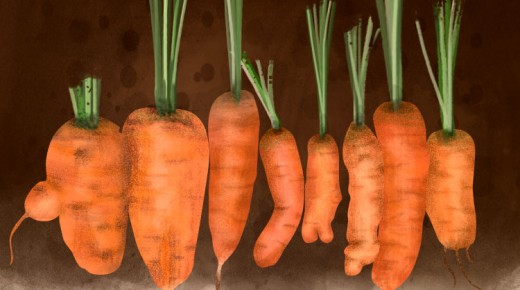 odd-carrots